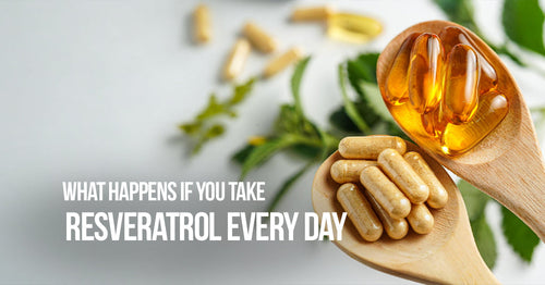 What_happens_if_you_take_resveratrol_every_day