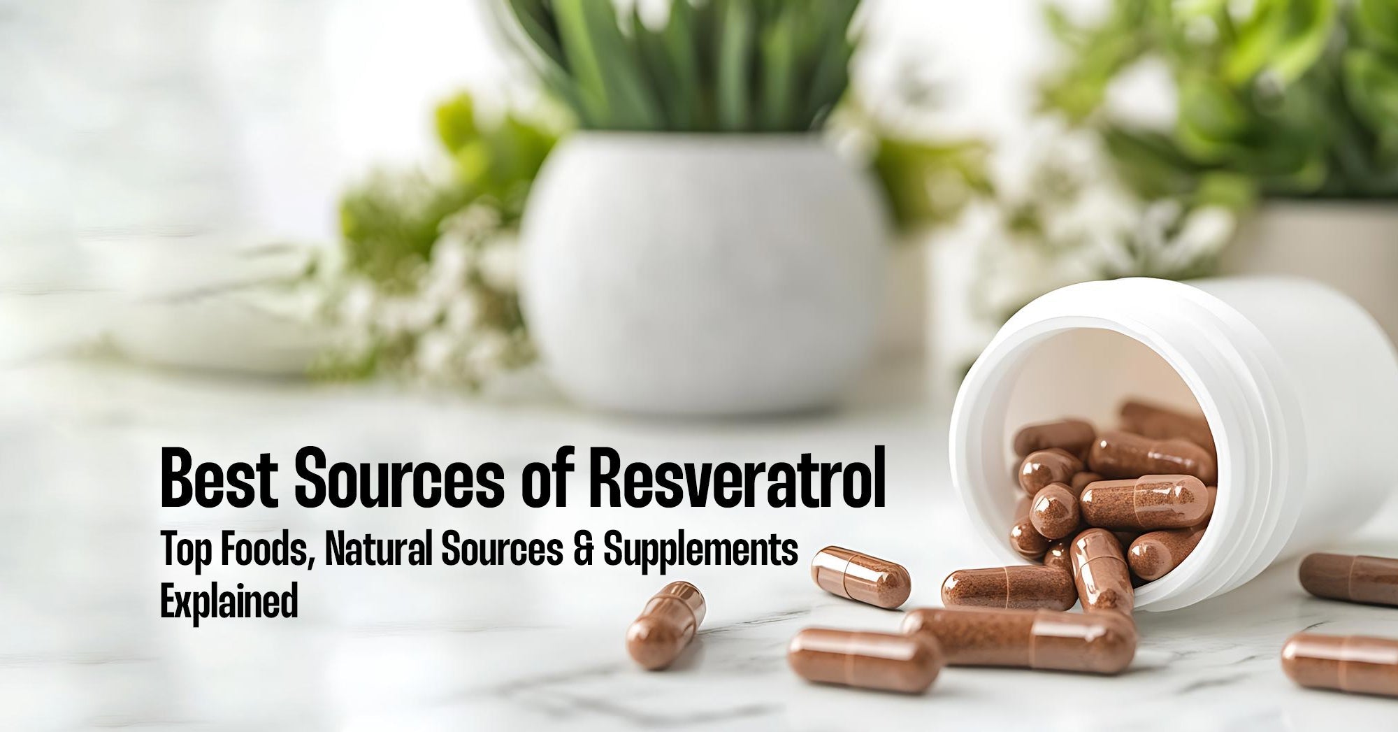 Best Sources of Resveratrol: Top Foods, Natural Sources & Supplements Explained