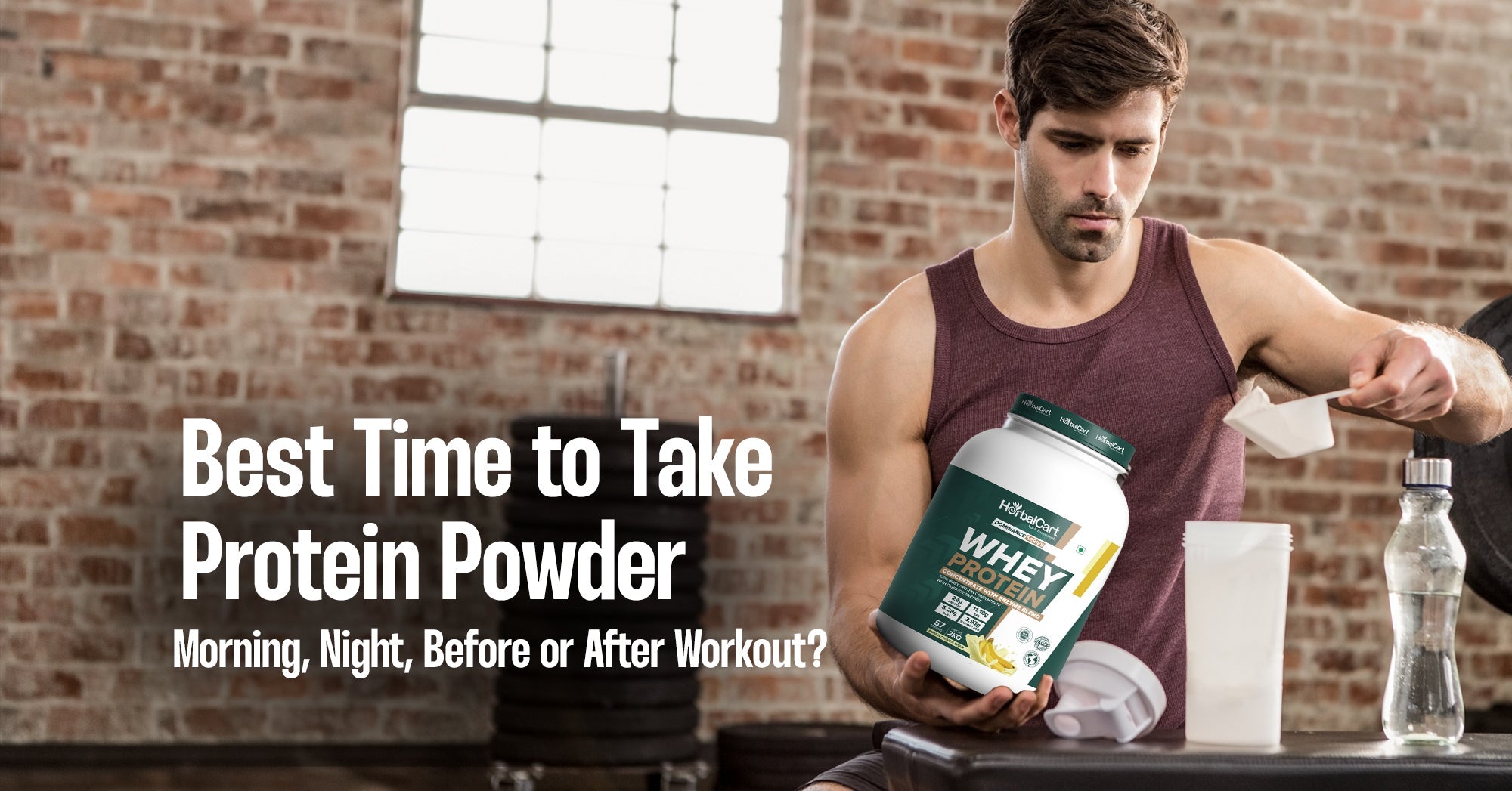 Best Time to Take Protein Powder: Morning, Night, Before or After Workout