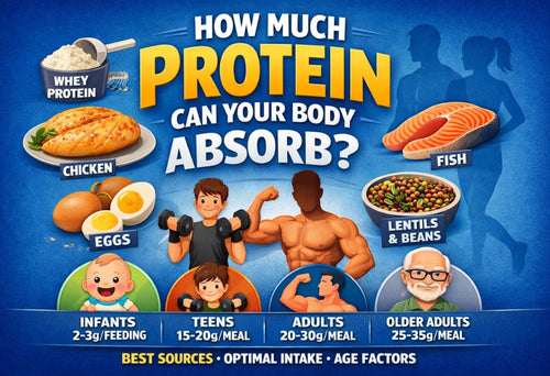 How Much Protein Can Your Body Absorb