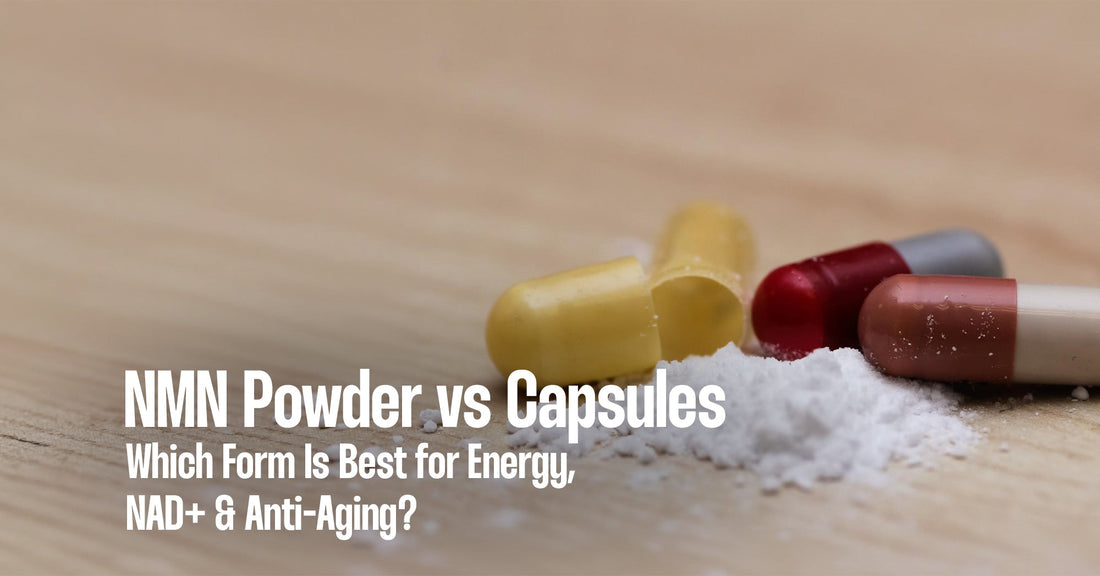 NMN Powder vs Capsules