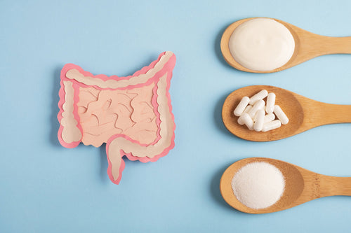 Best Time to Take Probiotics