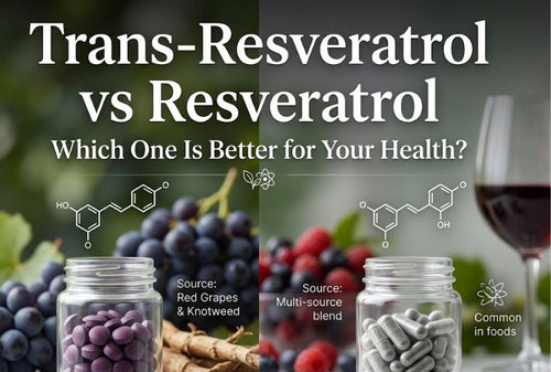 Trans Resveratrol vs Resveratrol Which One Is Better for Your Health