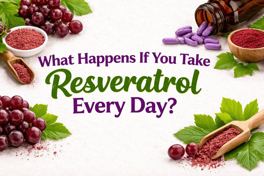 What Happens If You Take Resveratrol Every Day?