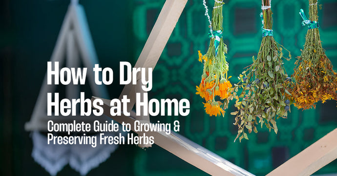 How to Dry Herbs at Home: Complete Guide to Growing & Preserving Fresh Herbs